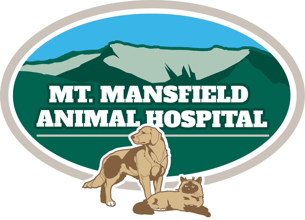 Mount Mansfield Animal Hospital